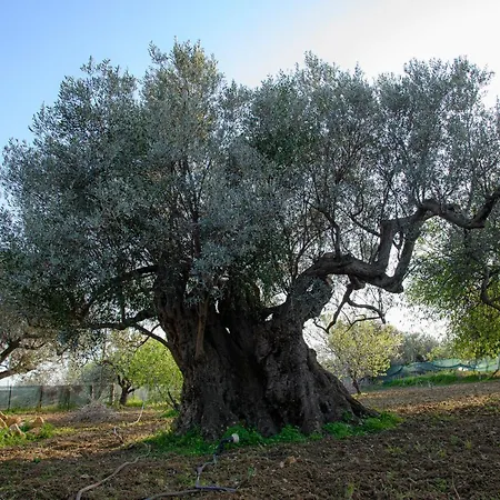 Сasa de vacaciones Caterina Agrigento