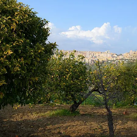 Caterina Agrigento